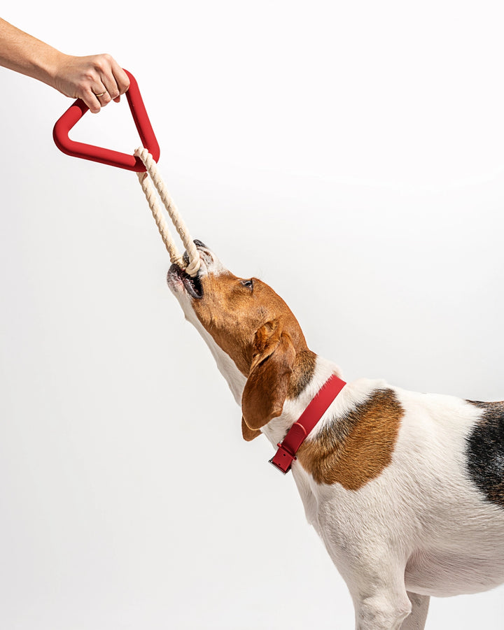 Triangle Tug Dog Chew Toy