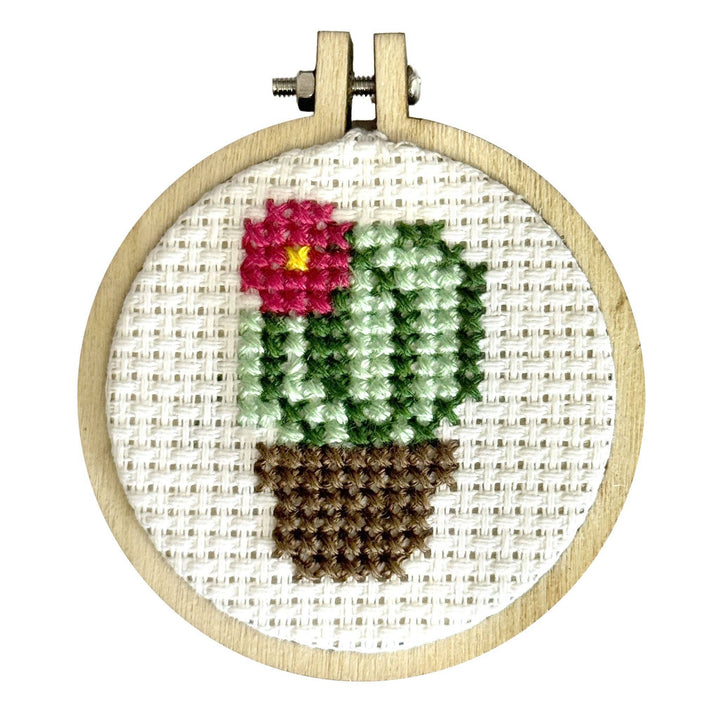 What the Fucculent! Mini Cross Stitch Kit