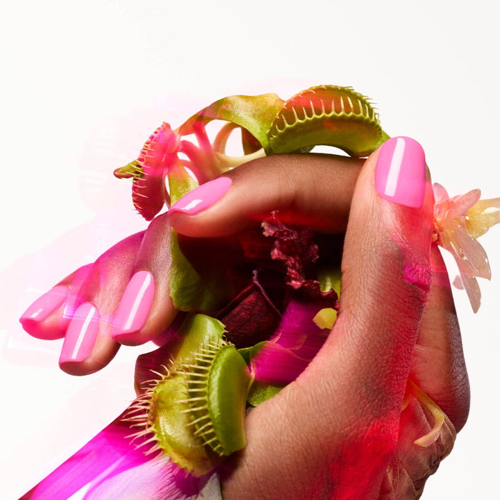 Bloom