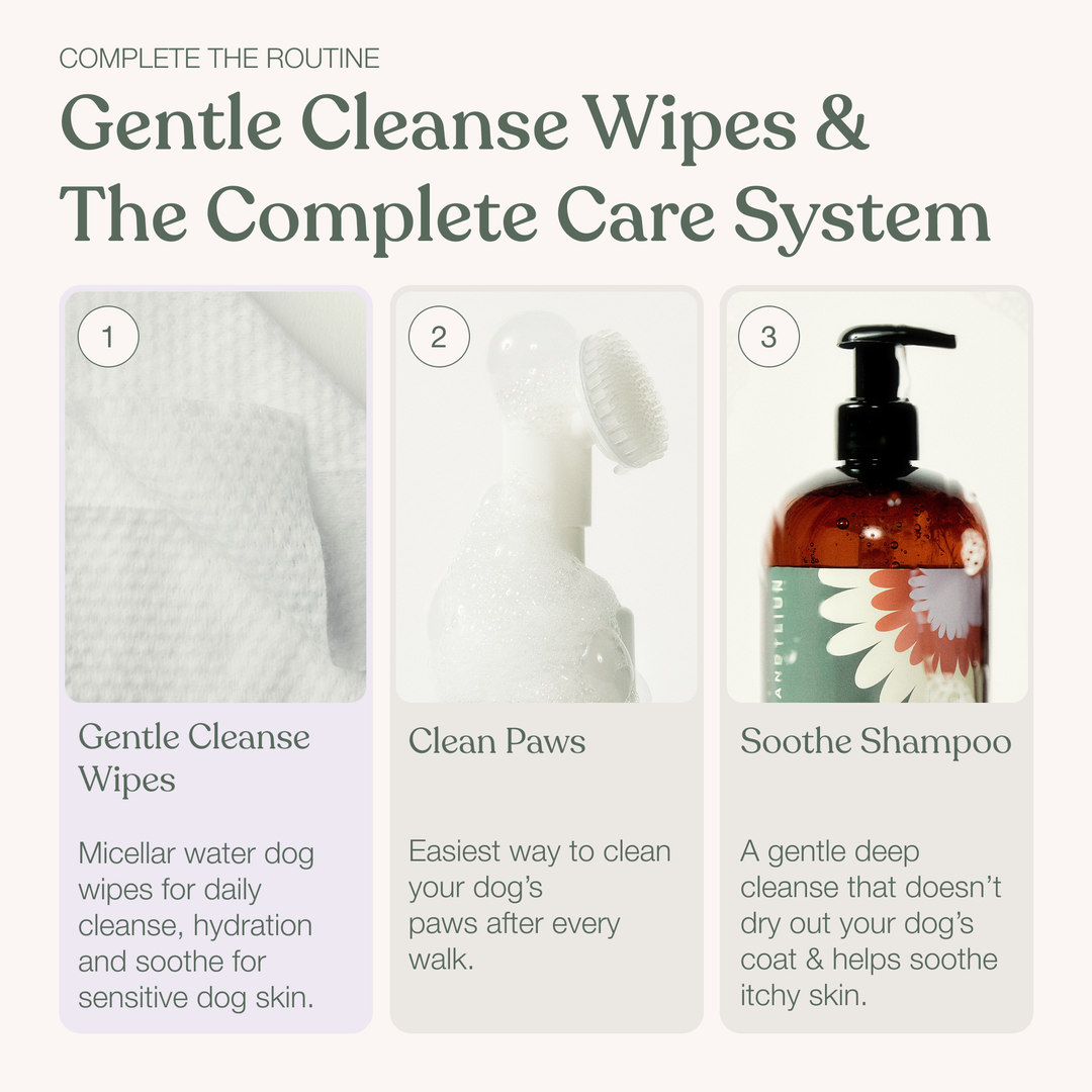 Gentle Cleanse Dog Wipes (Pack of 30)