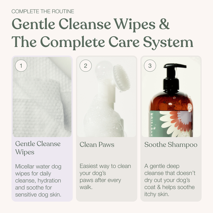 Gentle Cleanse Dog Wipes (Pack of 30)