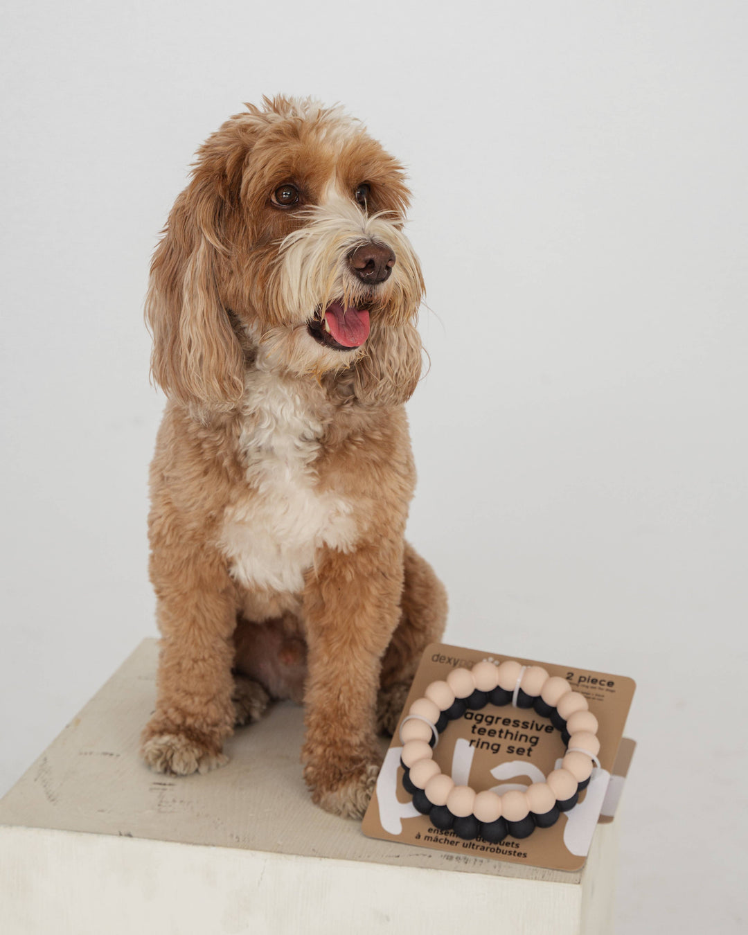 Ring Aggressive Chew Toy Set