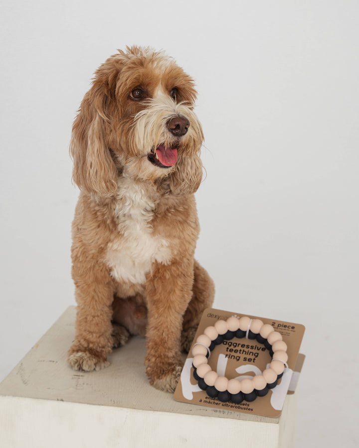 Ring Aggressive Chew Toy Set