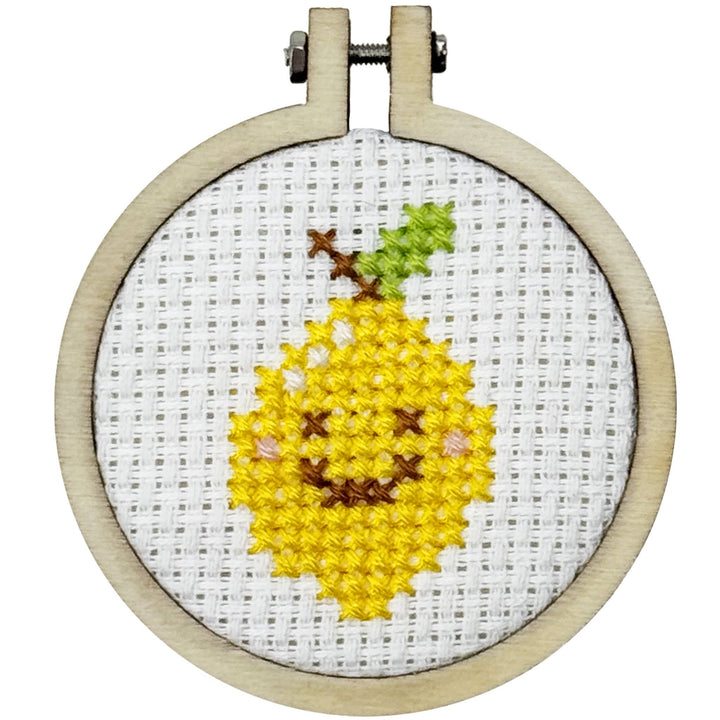 You're My Zest Friend Mini Cross Stitch Kit