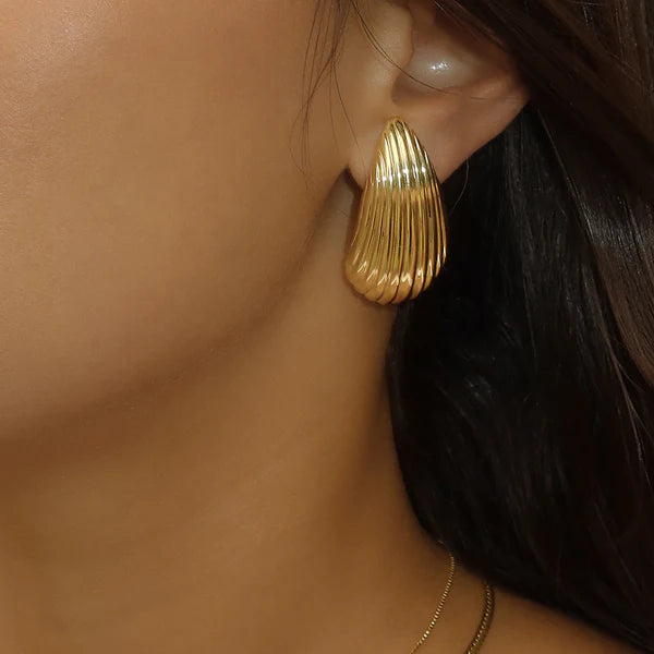 Shell Earrings