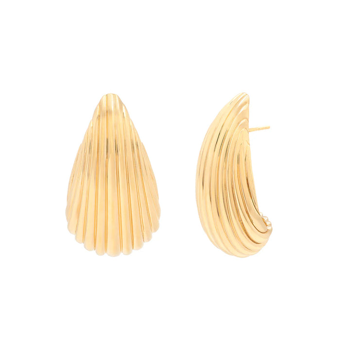 Shell Earrings