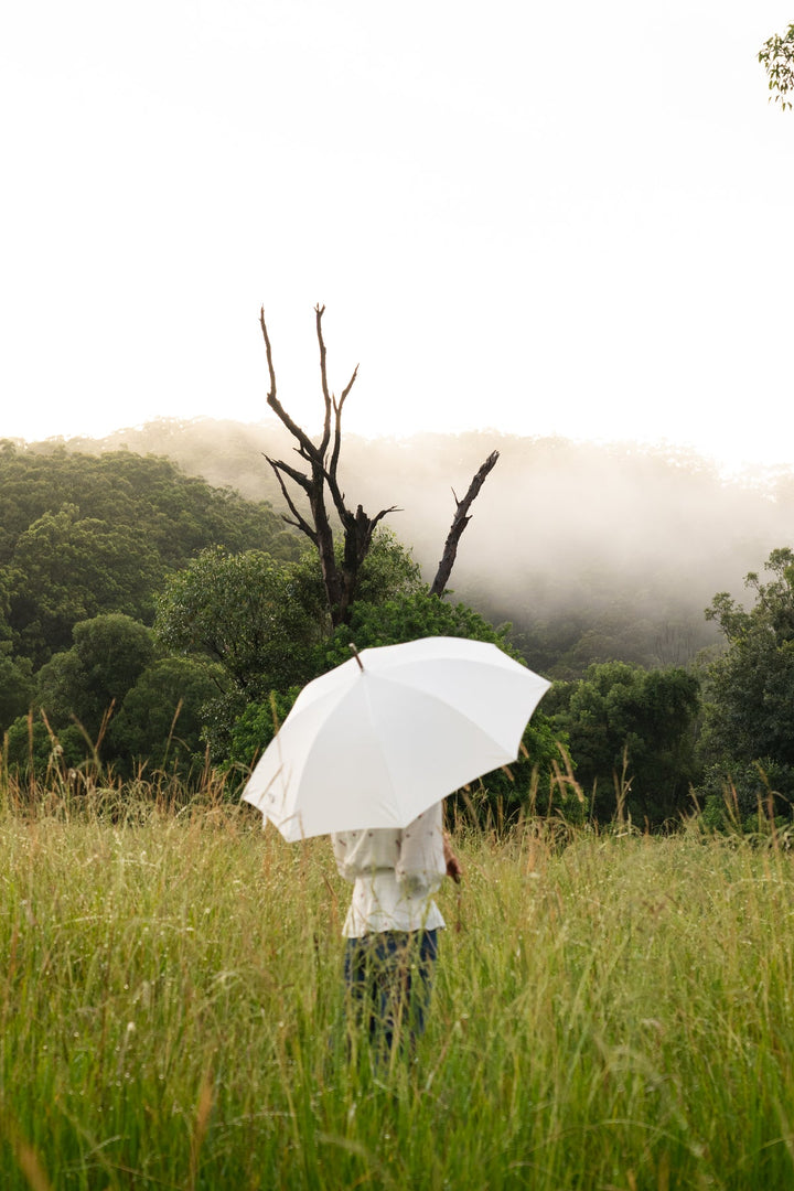 Rain Umbrella